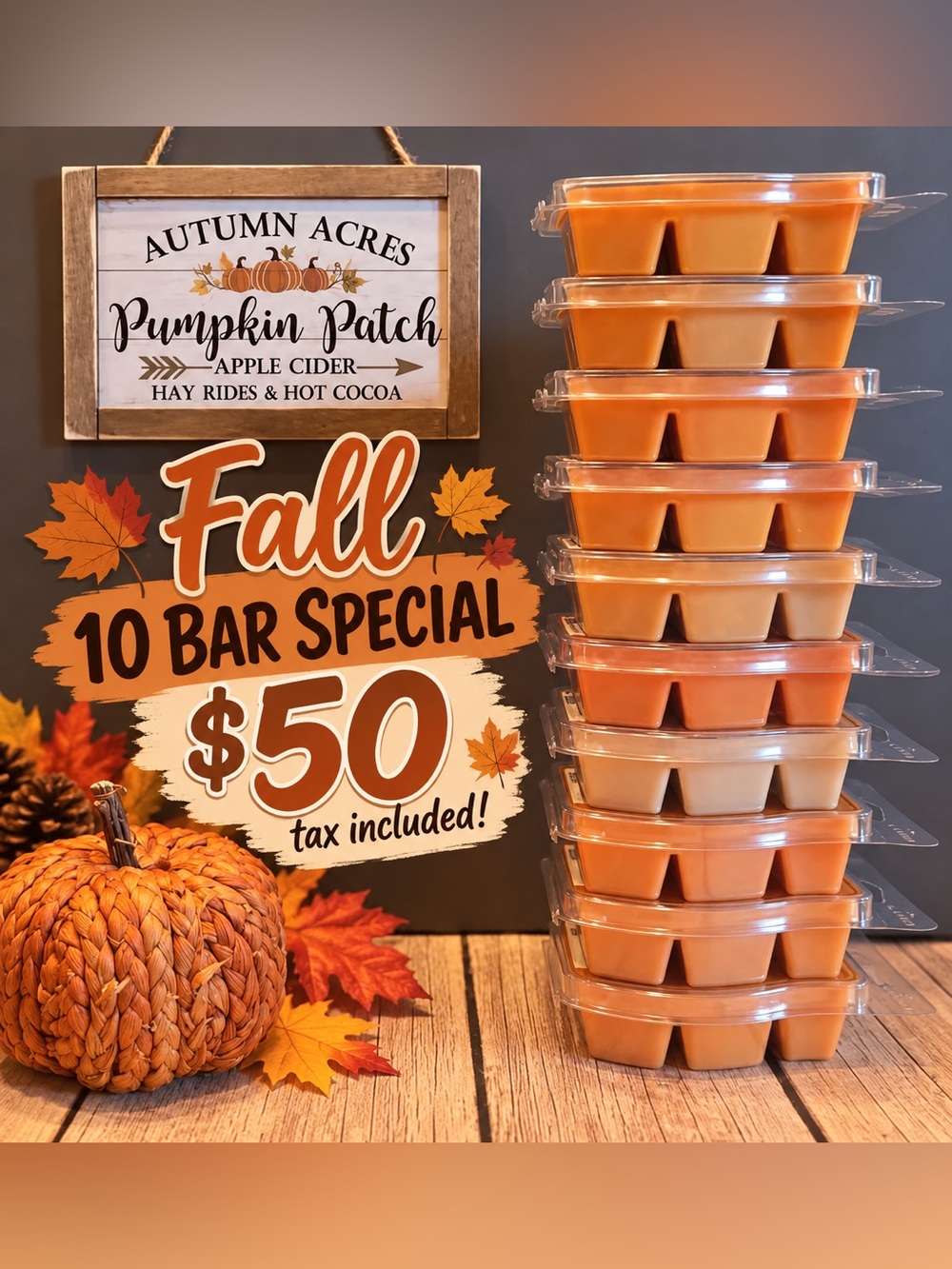 NEW Fall Assortment of Scentsy Fragrance Bars!